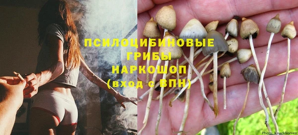 герыч Алзамай
