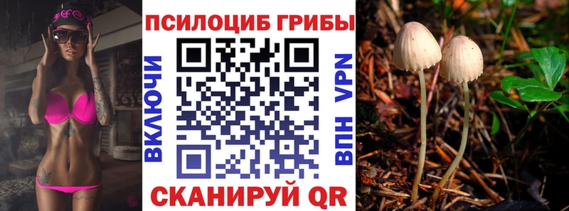 кракен как войти  Лахденпохья  Галлюциногенные грибы Psilocybe  наркотики 